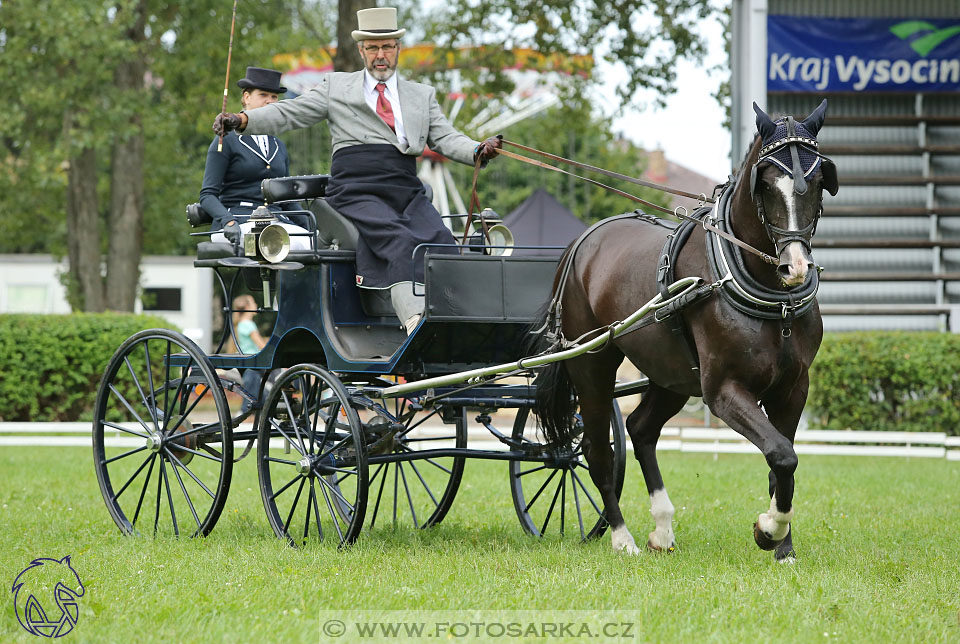 25.8.2017 - finále Zlatá Podkova - drezury
