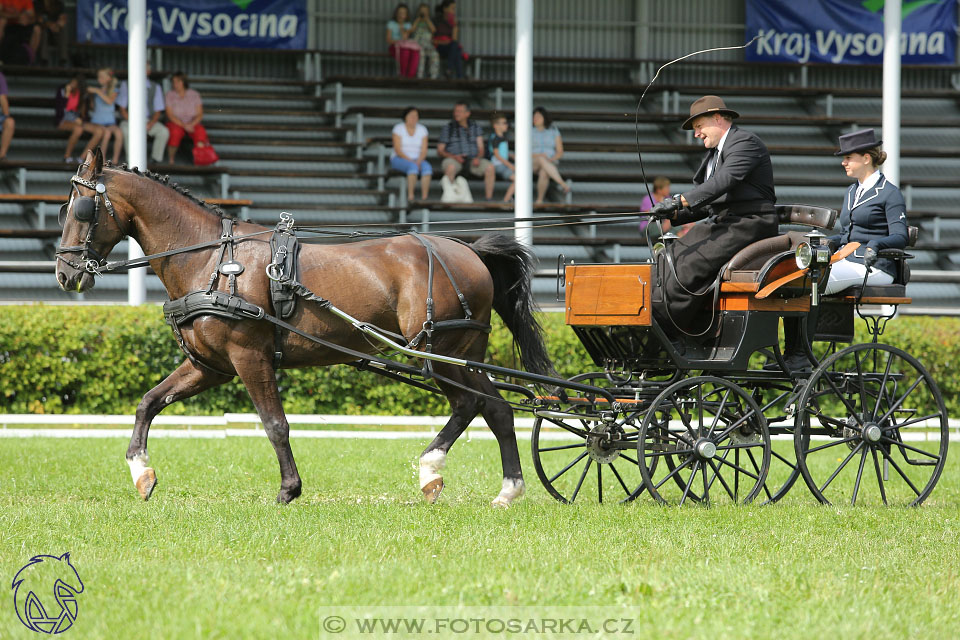 25.8.2017 - finále Zlatá Podkova - drezury