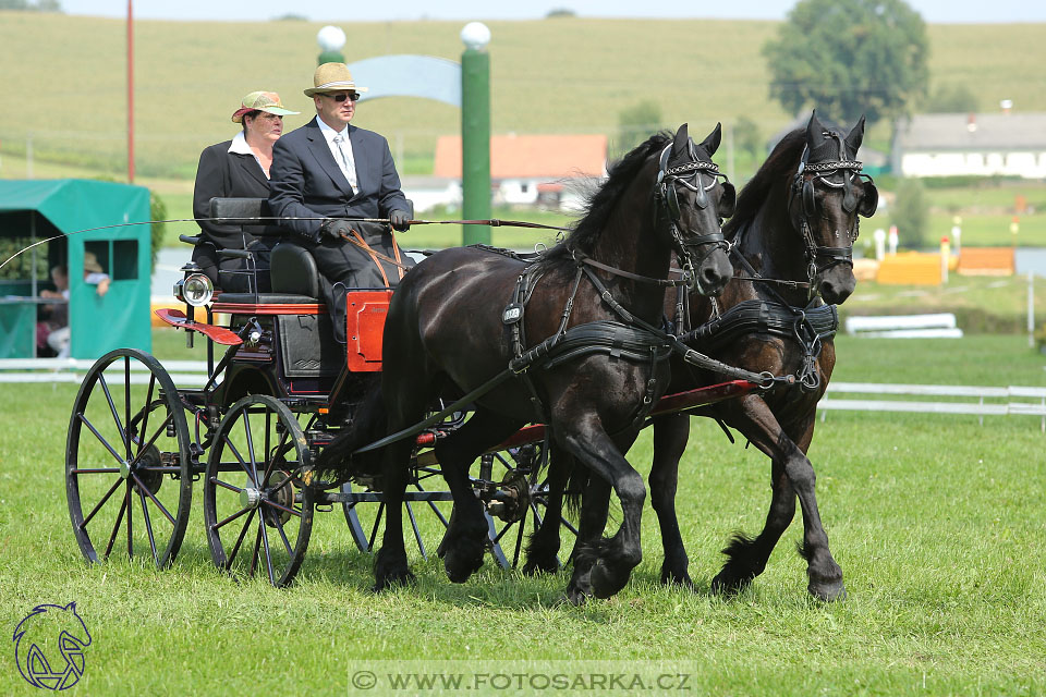 25.8.2017 - finále Zlatá Podkova - drezury
