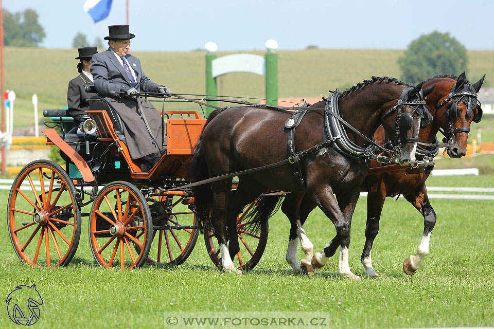 25.8.2017 - finále Zlatá Podkova - drezury