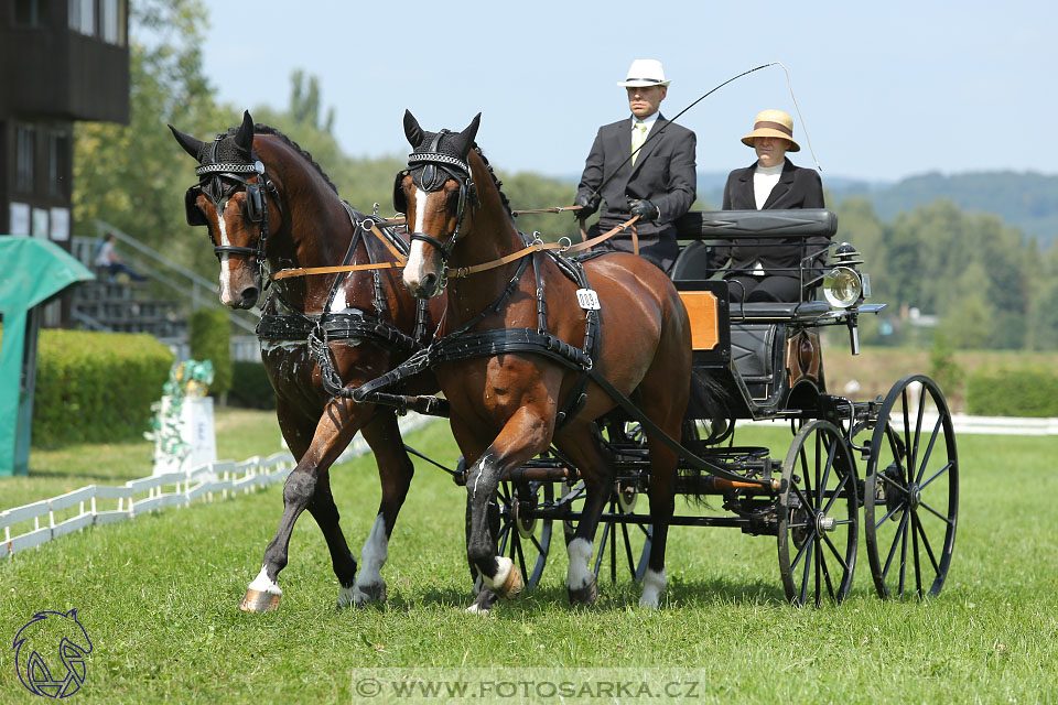 25.8.2017 - finále Zlatá Podkova - drezury