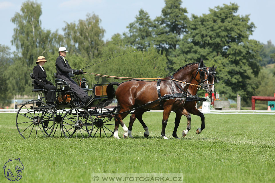 25.8.2017 - finále Zlatá Podkova - drezury