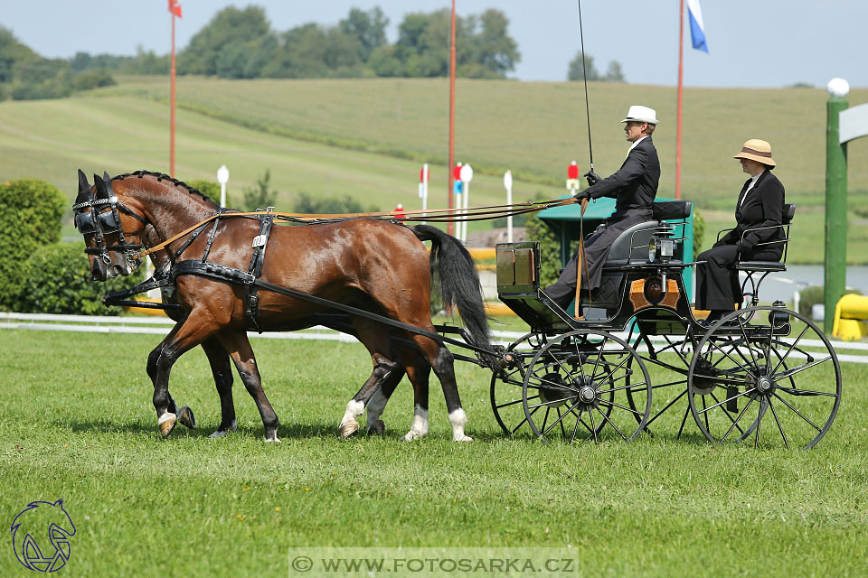 25.8.2017 - finále Zlatá Podkova - drezury