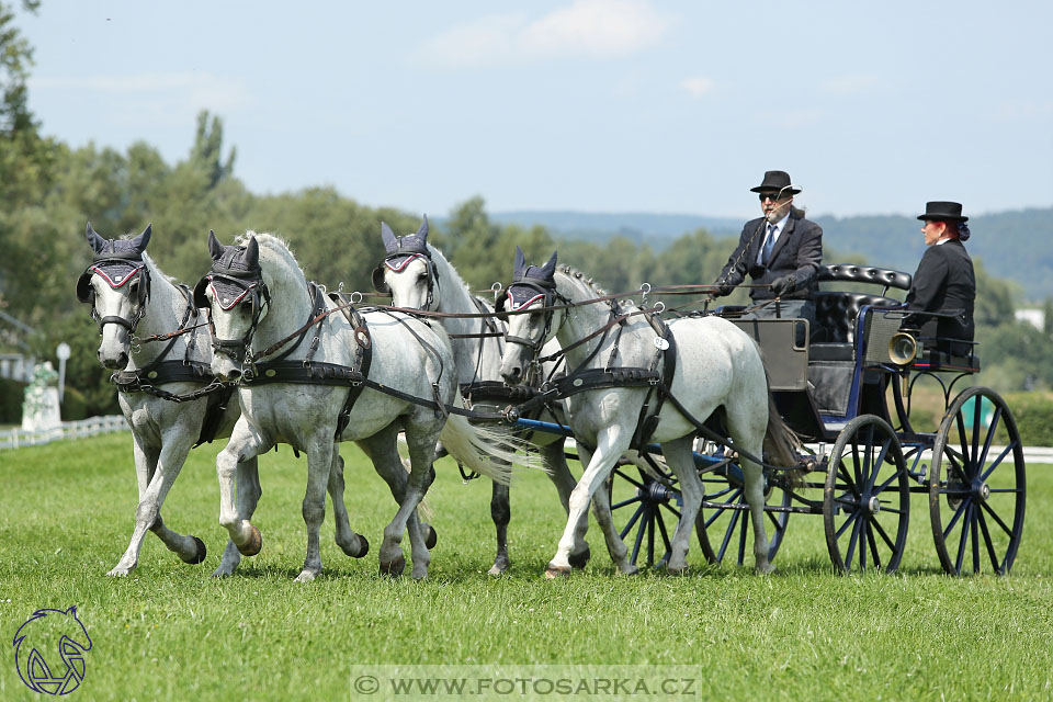 25.8.2017 - finále Zlatá Podkova - drezury