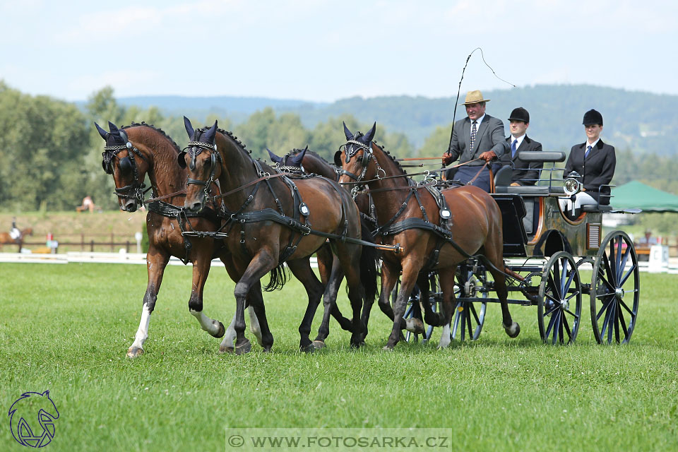 25.8.2017 - finále Zlatá Podkova - drezury
