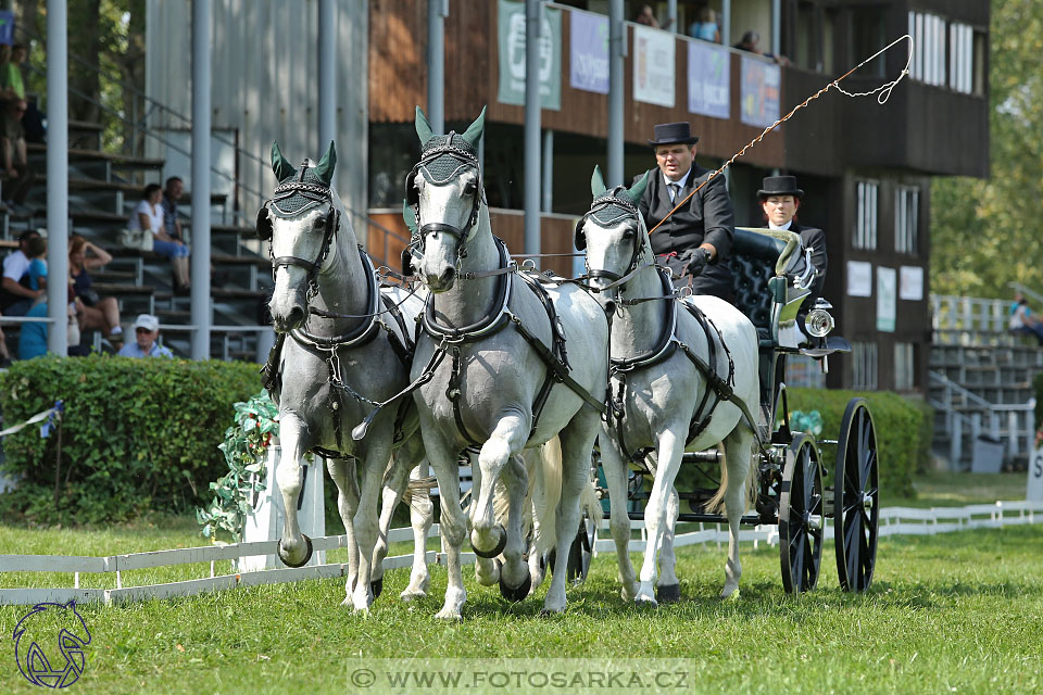25.8.2017 - finále Zlatá Podkova - drezury