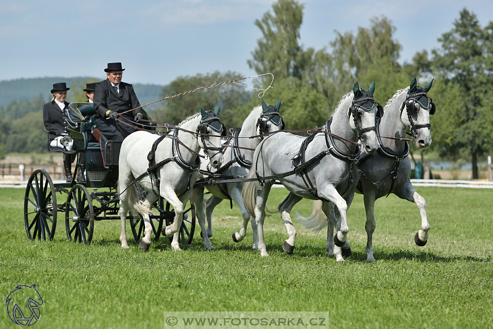 25.8.2017 - finále Zlatá Podkova - drezury