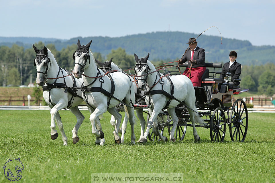 25.8.2017 - finále Zlatá Podkova - drezury