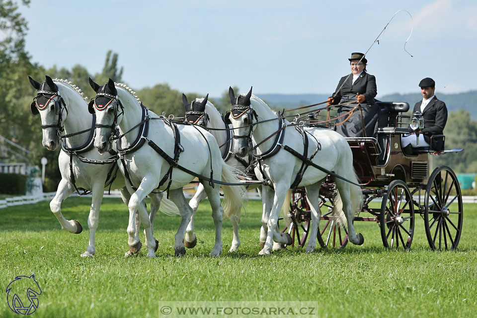 25.8.2017 - finále Zlatá Podkova - drezury