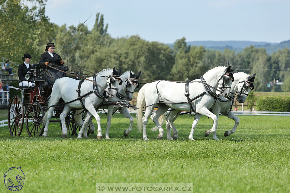 25.8.2017 - finále Zlatá Podkova - drezury
