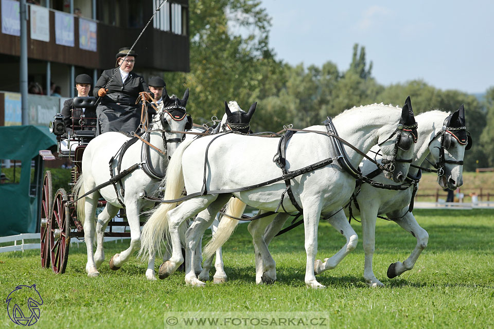 25.8.2017 - finále Zlatá Podkova - drezury