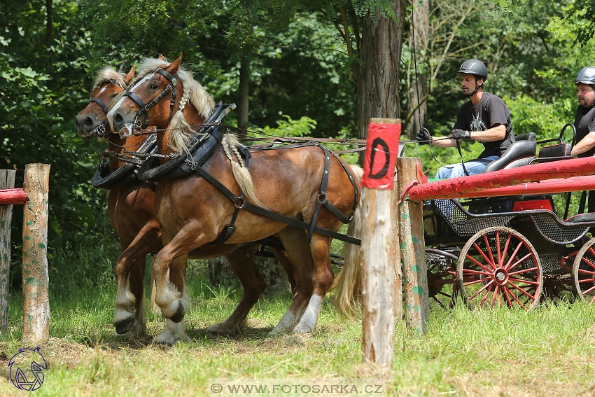 2.6.2018 - Memoriál Jana Branče - Mor. Krumlov