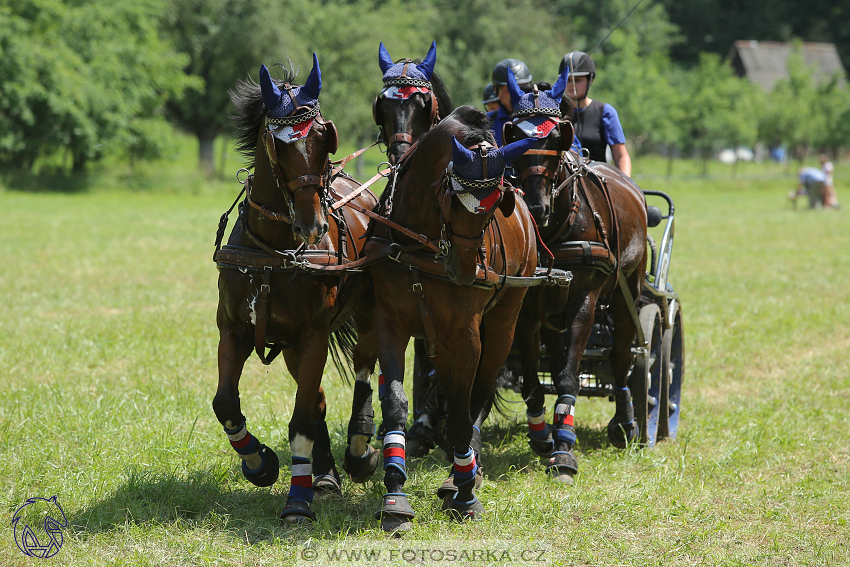 2.6.2018 - Memoriál Jana Branče - Mor. Krumlov