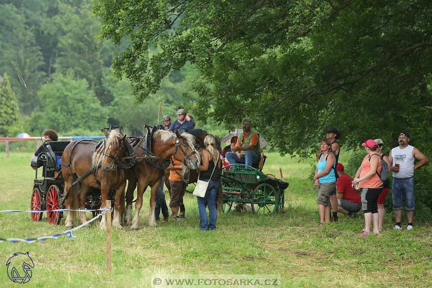 2.6.2018 - Memoriál Jana Branče - Mor. Krumlov