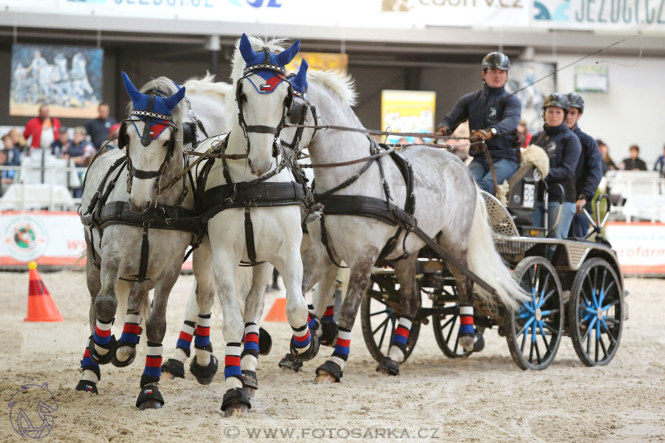 26.3.2017 - spřežení Lysá nad Labem