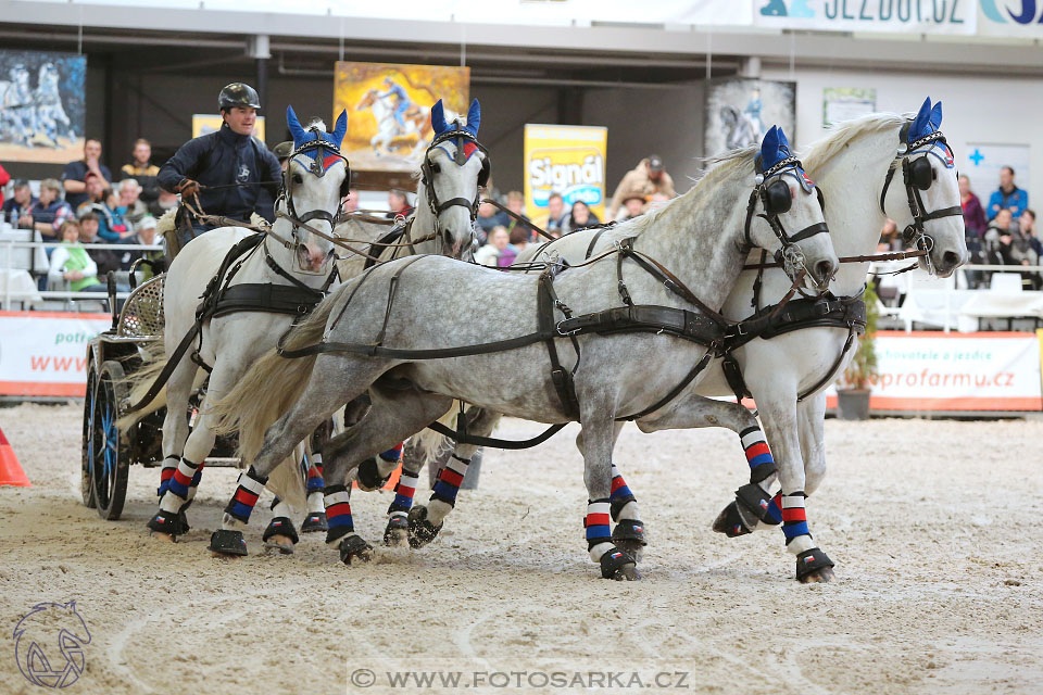 26.3.2017 - spřežení Lysá nad Labem