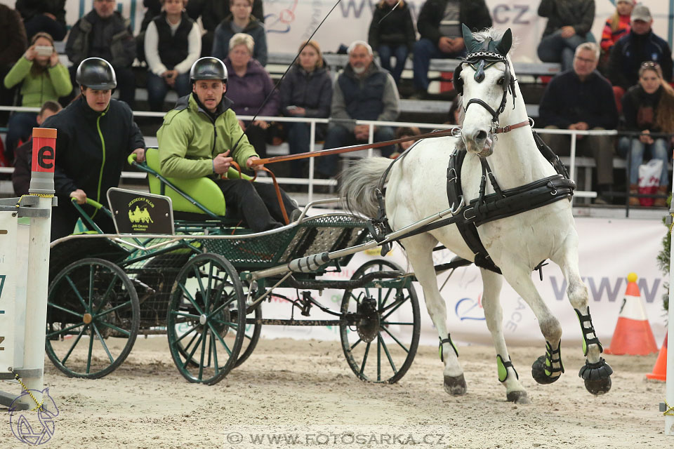 26.3.2017 - spřežení Lysá nad Labem