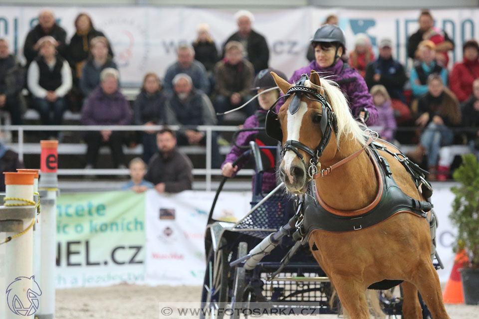 26.3.2017 - spřežení Lysá nad Labem