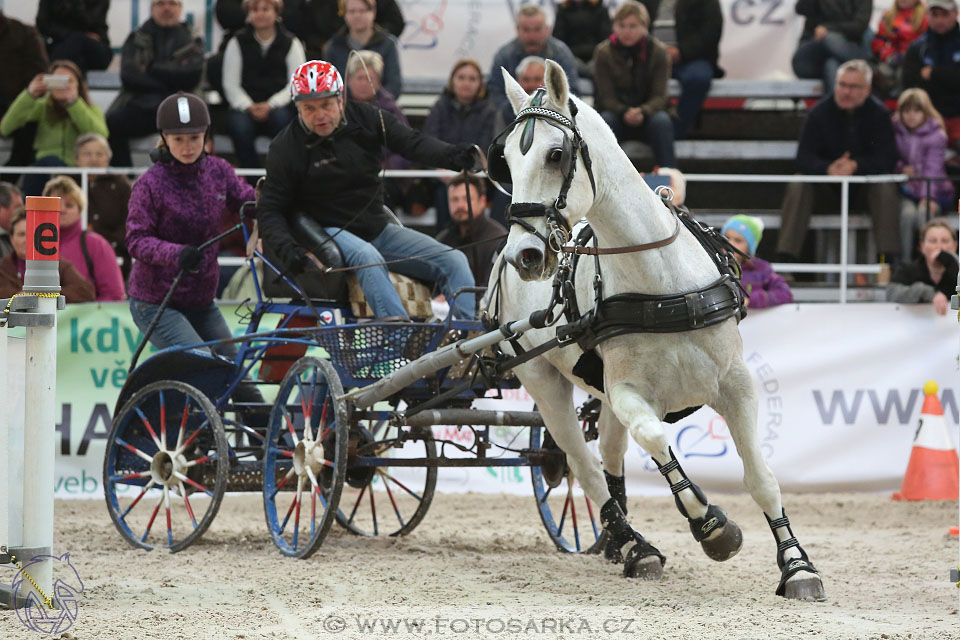 26.3.2017 - spřežení Lysá nad Labem