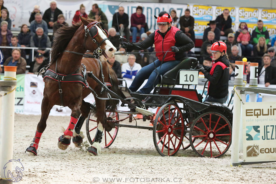 26.3.2017 - spřežení Lysá nad Labem