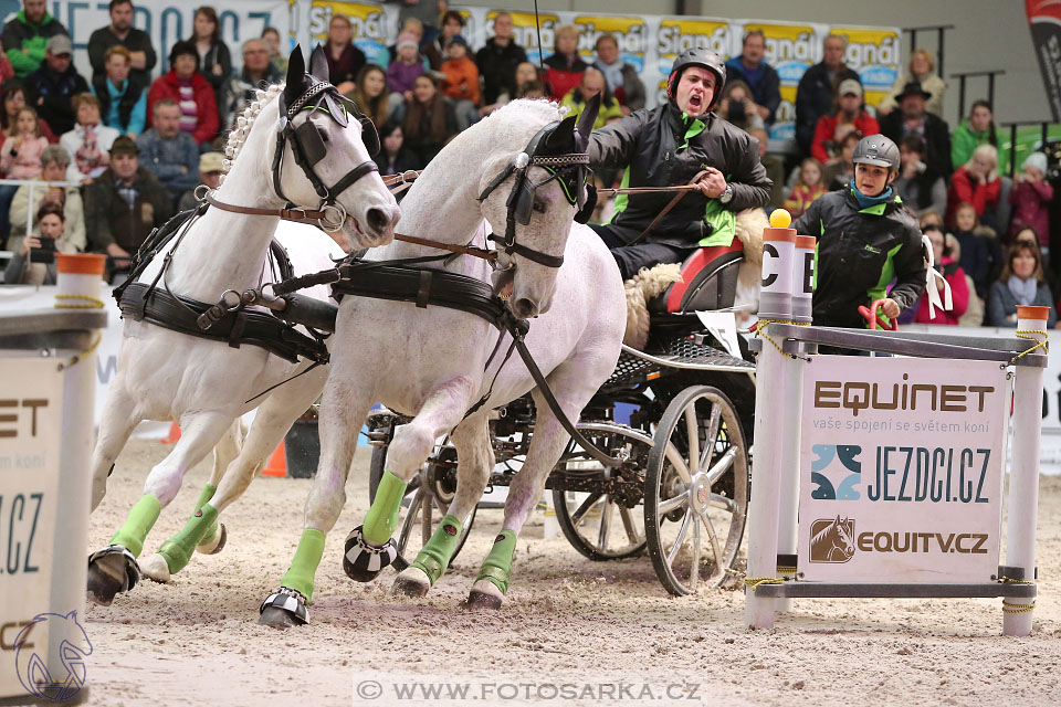 26.3.2017 - spřežení Lysá nad Labem