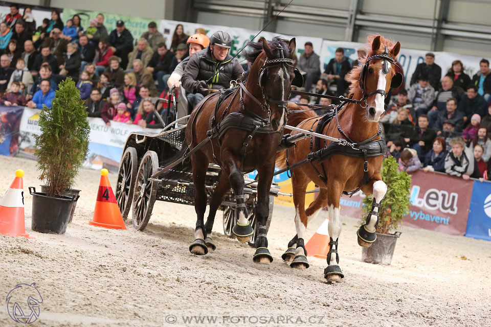 26.3.2017 - spřežení Lysá nad Labem