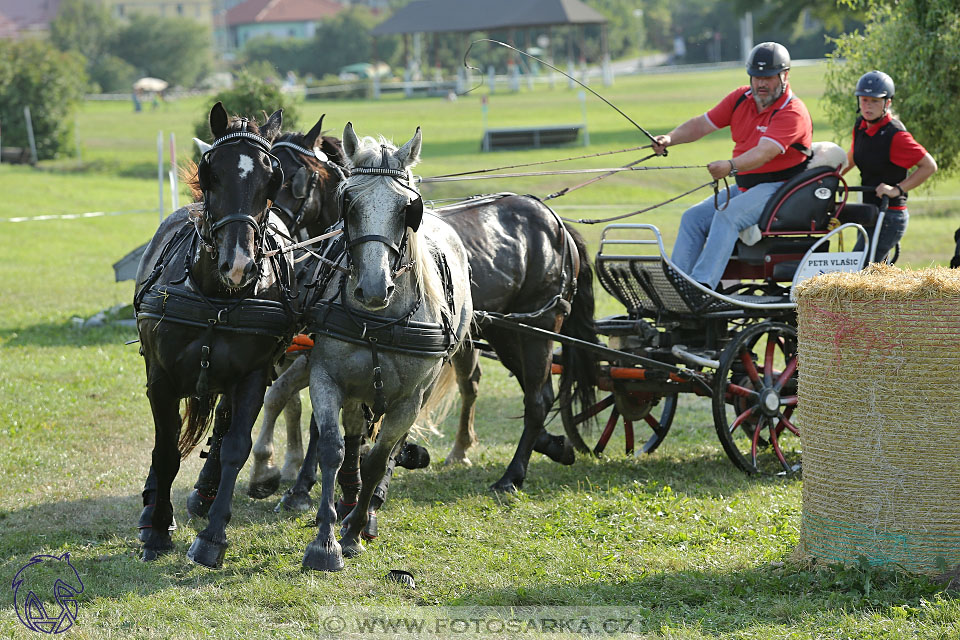 26.8.2017 - finále Zlatá Podkova - maraton