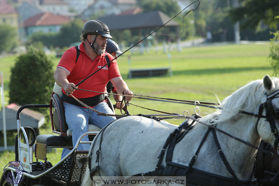 26.8.2017 - finále Zlatá Podkova - maraton