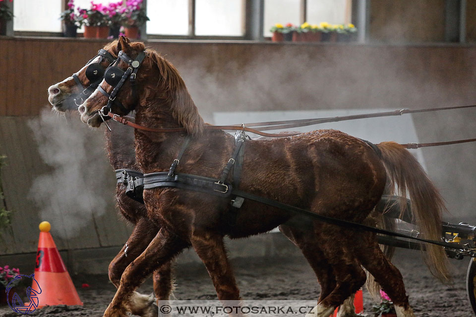27.1.2018 - Halovky Hradištko