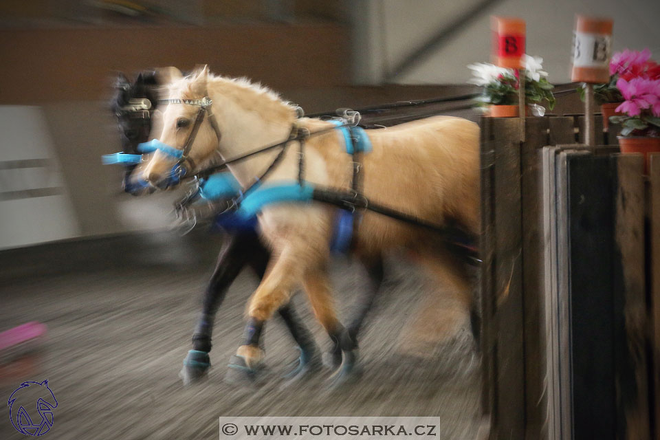 27.1.2018 - Halovky Hradištko
