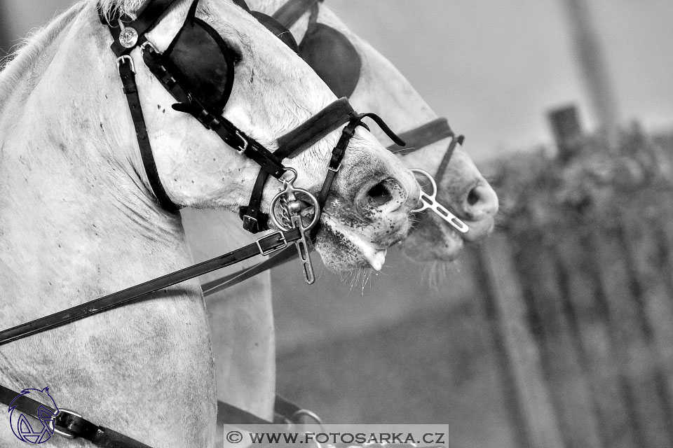 27.1.2018 - Halovky Hradištko