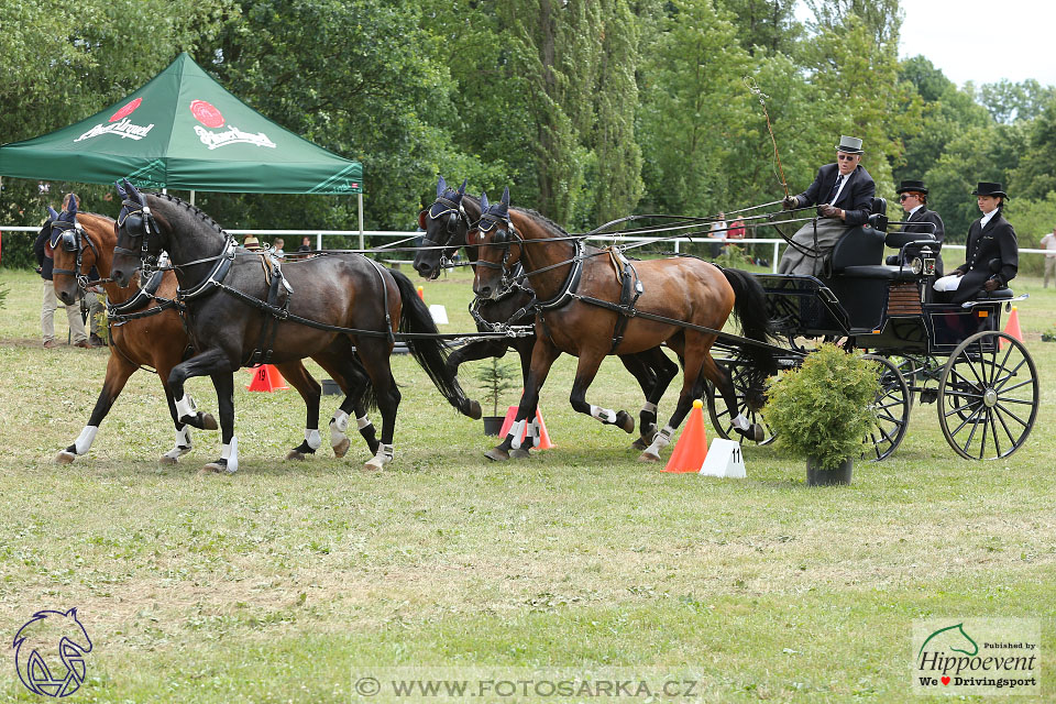 2.7.2017 - CAI3*W Nebanice parkur