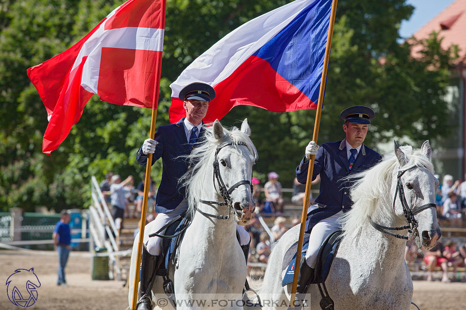 27.5.2017 - Den starokladrubského koně