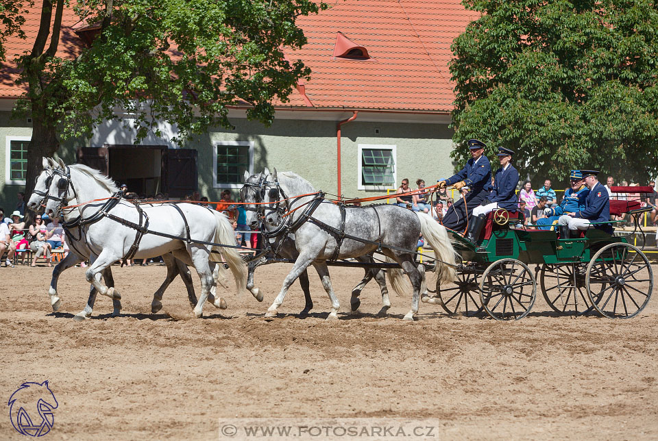 27.5.2017 - Den starokladrubského koně