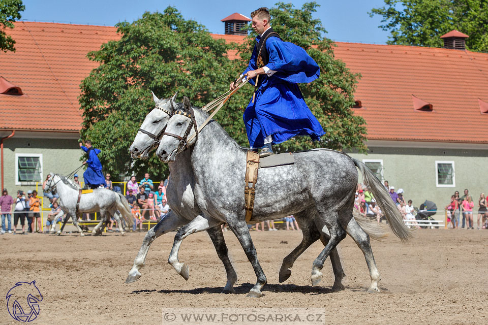 27.5.2017 - Den starokladrubského koně