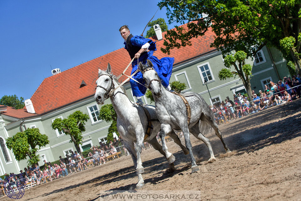 27.5.2017 - Den starokladrubského koně