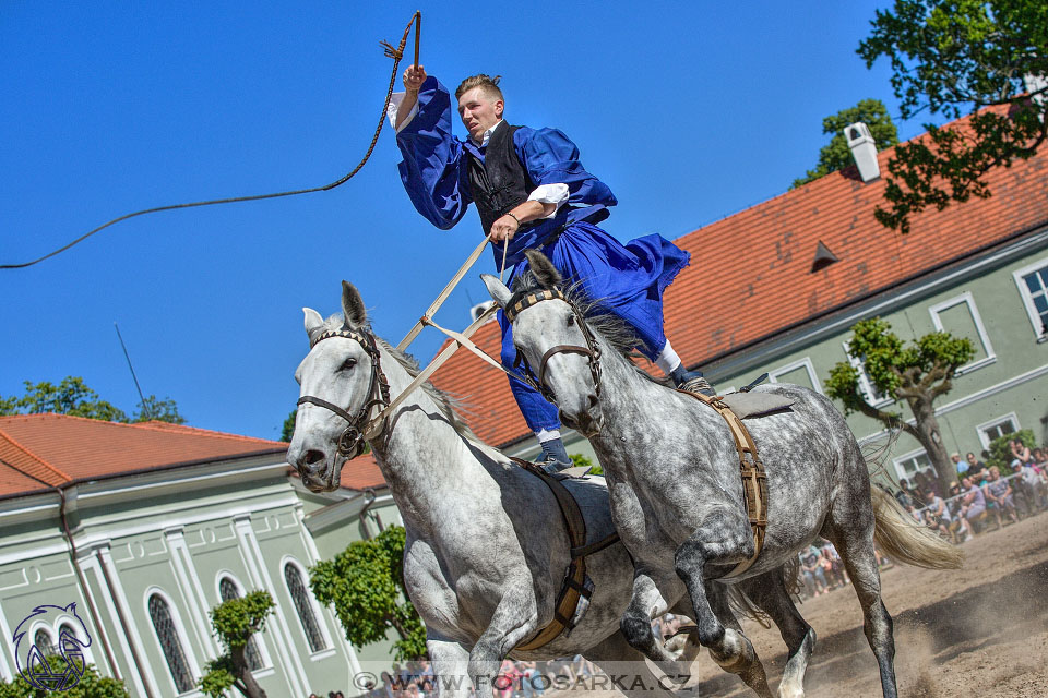 27.5.2017 - Den starokladrubského koně