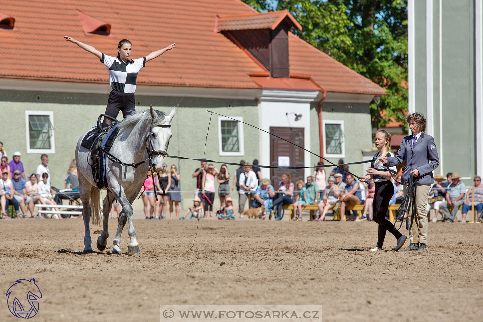 27.5.2017 - Den starokladrubského koně