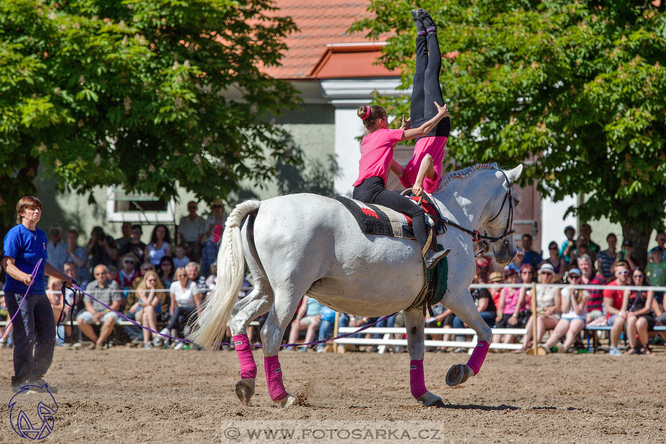 27.5.2017 - Den starokladrubského koně