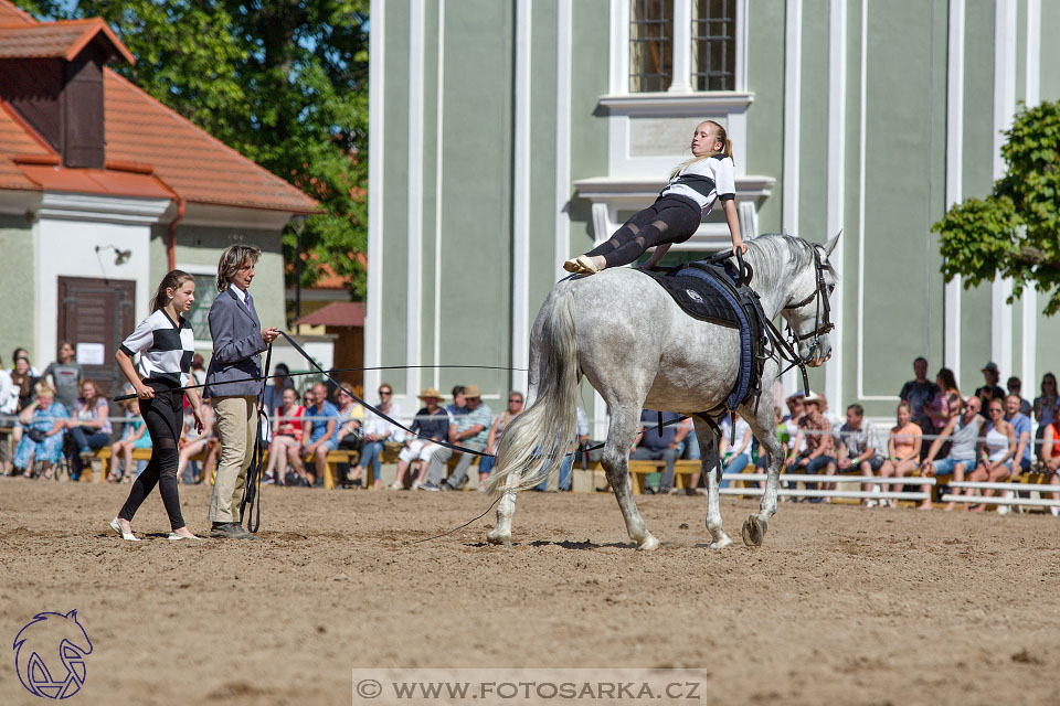 27.5.2017 - Den starokladrubského koně