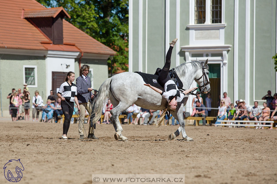 27.5.2017 - Den starokladrubského koně