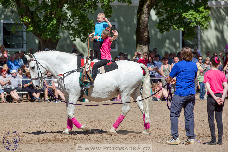 27.5.2017 - Den starokladrubského koně