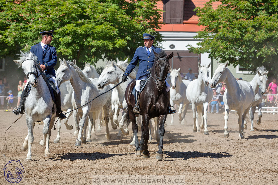 27.5.2017 - Den starokladrubského koně