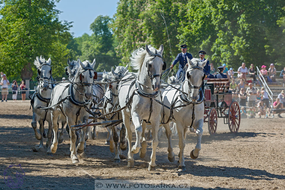 27.5.2017 - Den starokladrubského koně