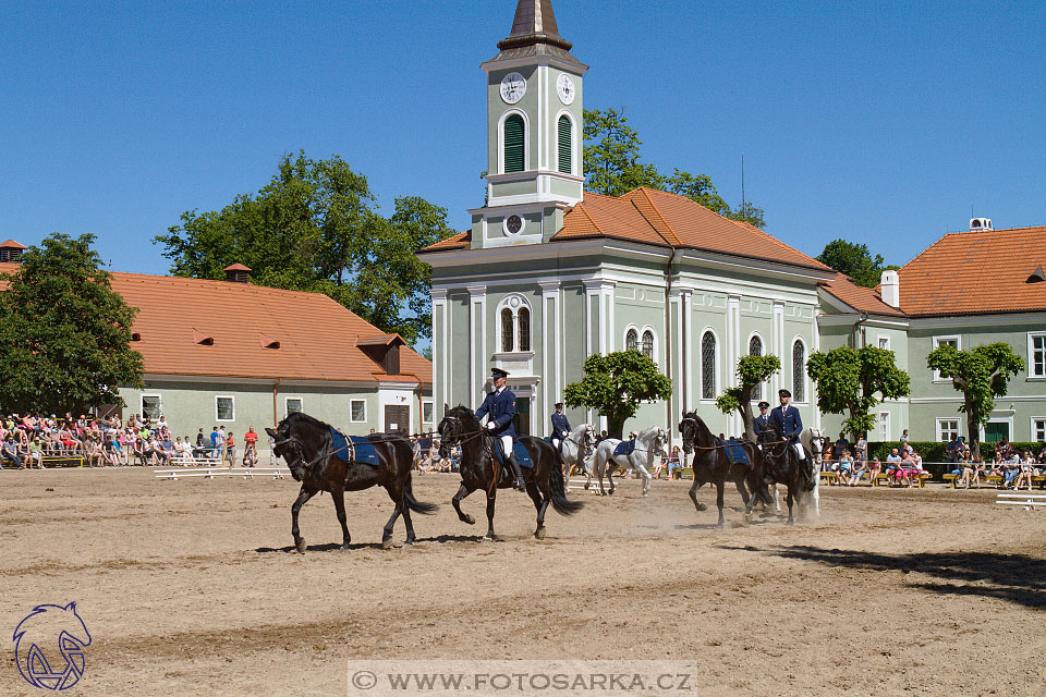 27.5.2017 - Den starokladrubského koně