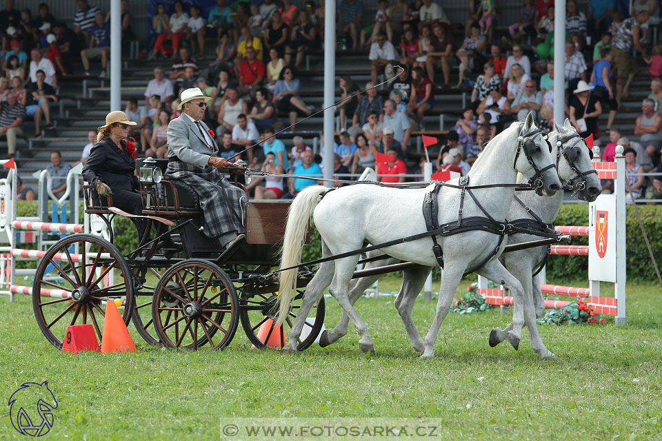 27.8.2017 - finále Zlatá Podkova - parkur