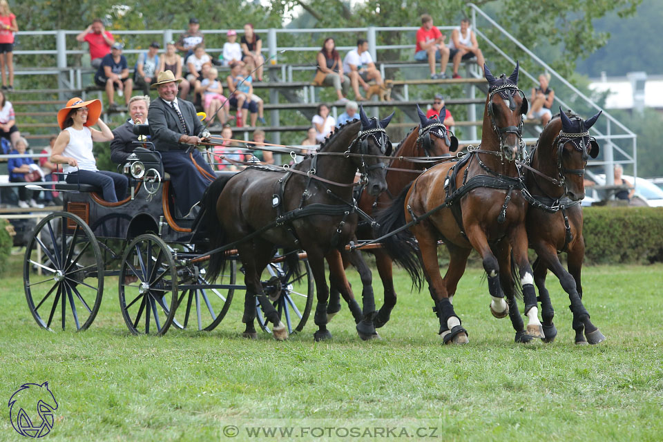 27.8.2017 - finále Zlatá Podkova - parkur