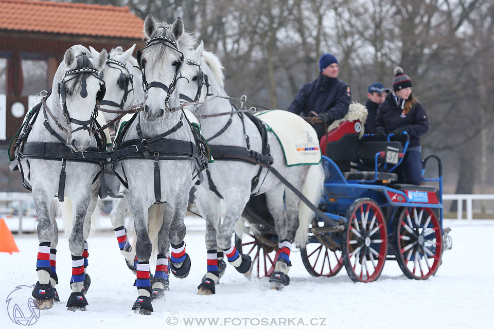 28.1.2017 - spřežení Hradištko