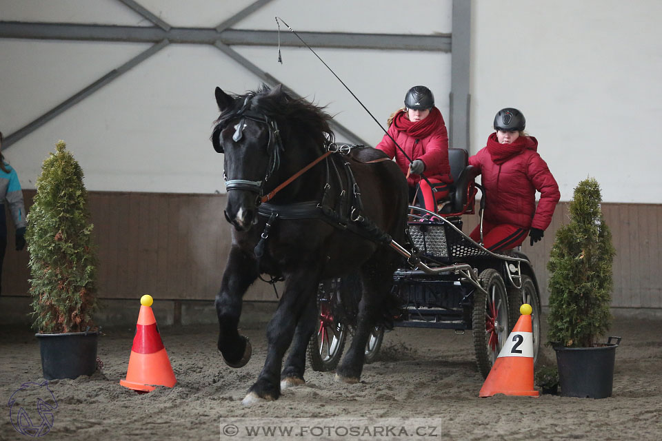 28.1.2017 - spřežení Hradištko