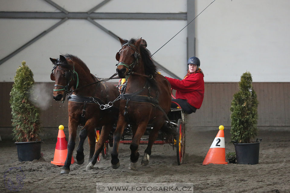 28.1.2017 - spřežení Hradištko